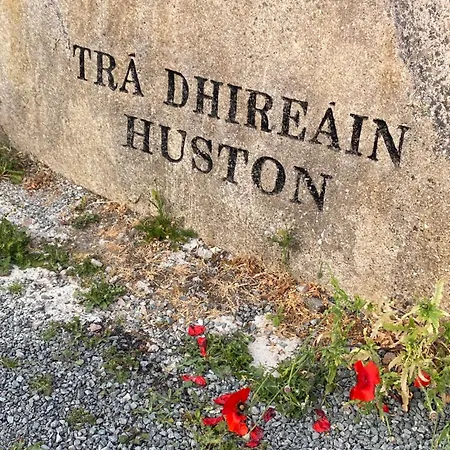 Tigh George * Lettermore