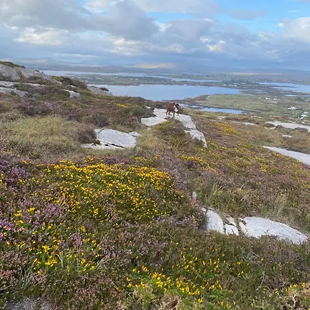 Tigh George Lettermore