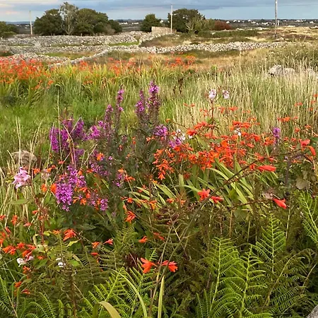 Tigh George Lettermore