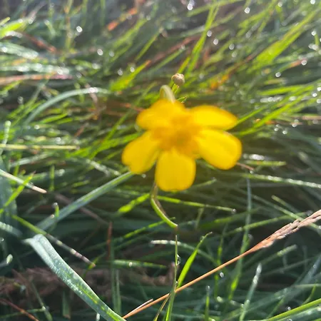 בית נופש Tigh George