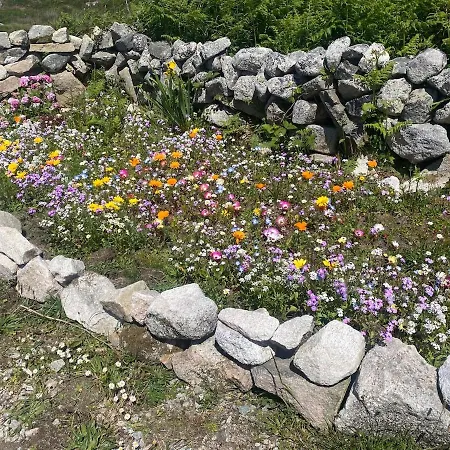 Tigh George Prázdninový dům