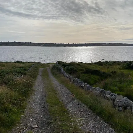 Tigh George * Lettermore