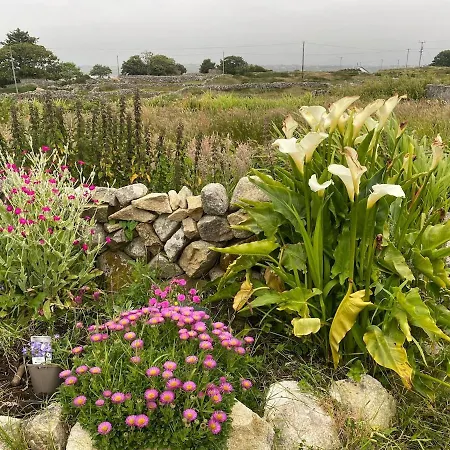 Tigh George Prázdninový dům