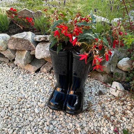 Tigh George Lettermore