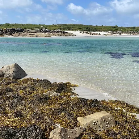 Tigh George Lettermore