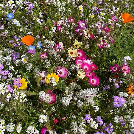 Tigh George Prázdninový dům