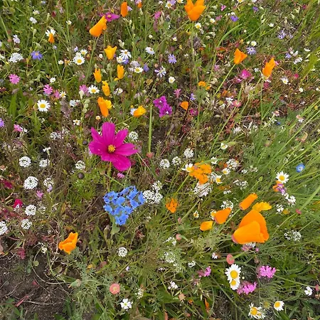 Tigh George Prázdninový dům *