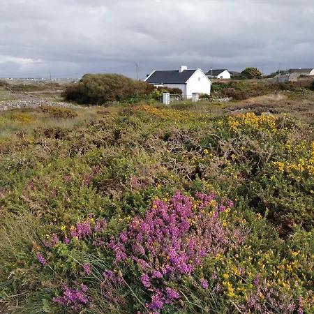 Tigh George בית נופש *