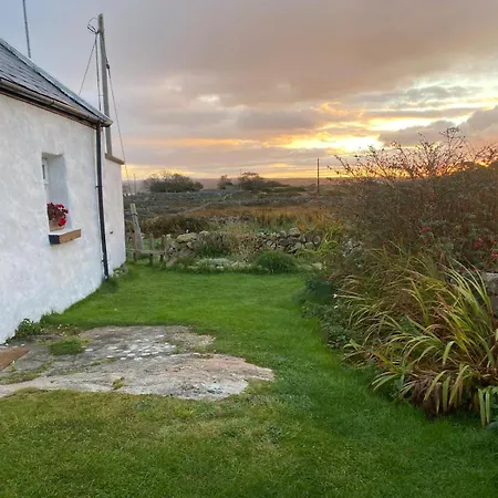 Tigh George Lettermore