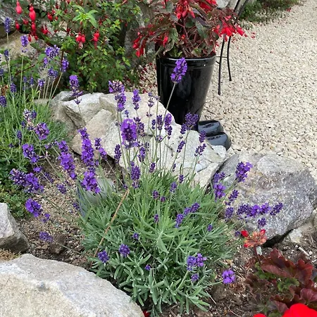 בית נופש Tigh George