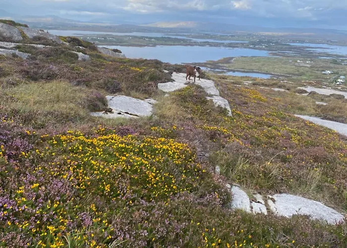 Tigh George Lettermore