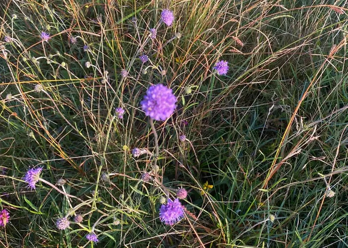 Tigh George * Lettermore