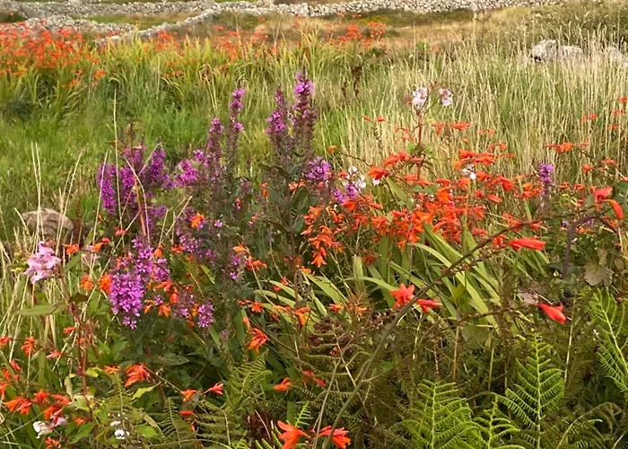 Tigh George Lettermore