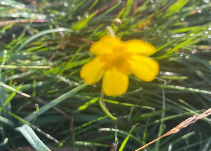 Σπίτι διακοπών Tigh George