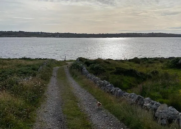 Tigh George * Lettermore