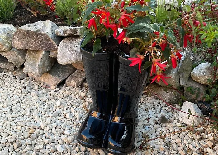 Tigh George Lettermore