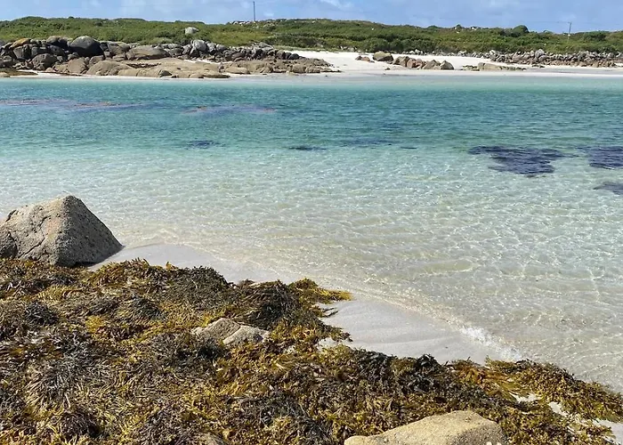 Tigh George Lettermore