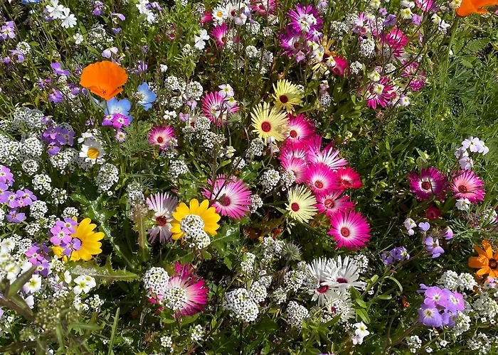 Tigh George Σπίτι διακοπών