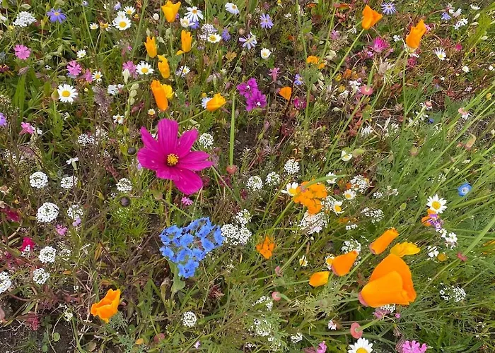 Tigh George Σπίτι διακοπών *