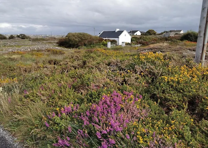 Tigh George Σπίτι διακοπών *