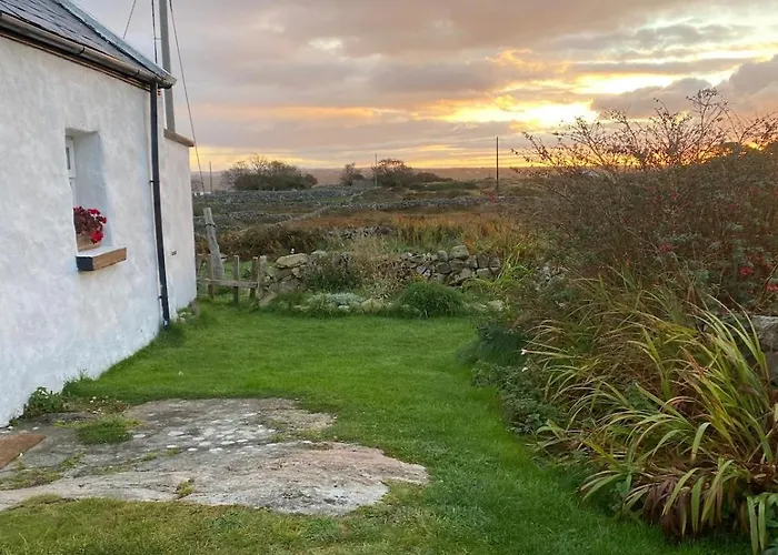 Tigh George Lettermore