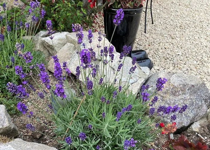 Σπίτι διακοπών Tigh George